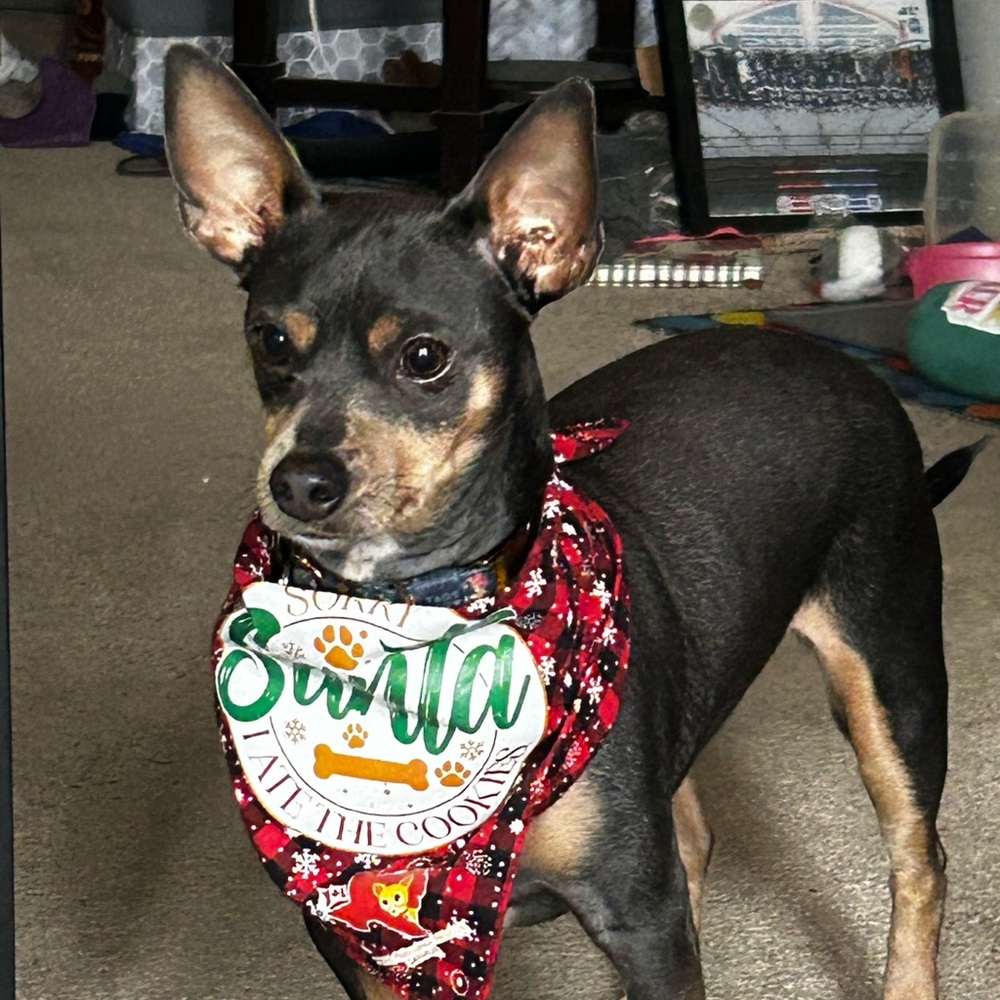 Thanks for dropping by Marley’s page! 🐾🐾❤️